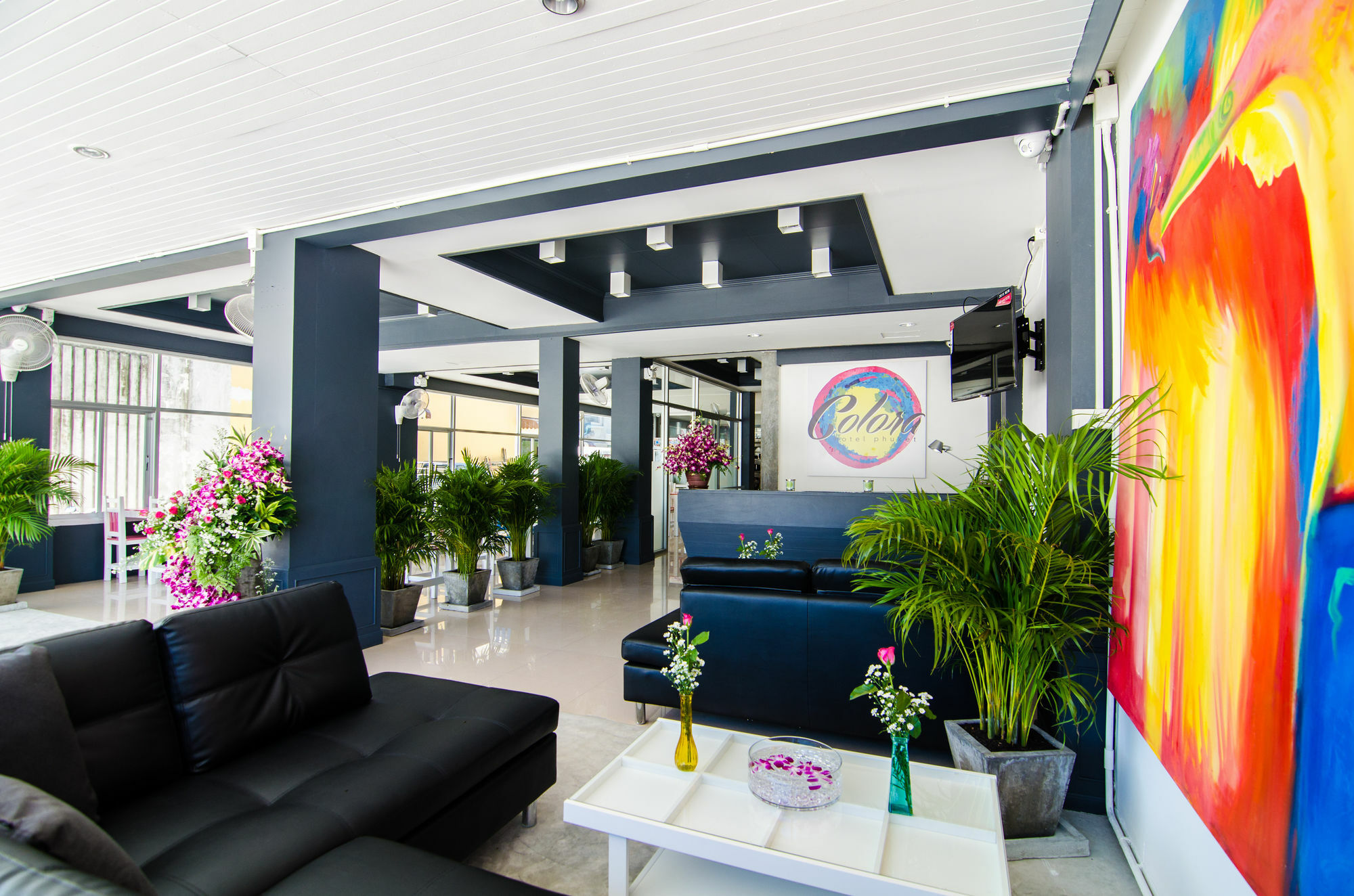 Colora Hotel Patong Phuket المظهر الخارجي الصورة